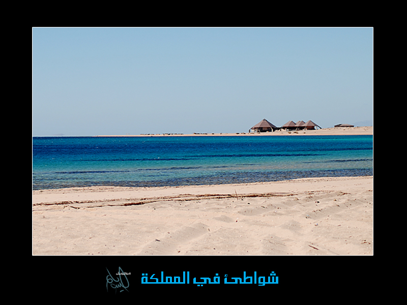 3584alsh3er.JPG