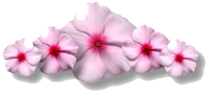 0cb630bb35a2941b4f57ee116de3d804.gif