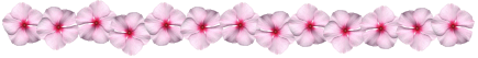 63728f5efd902568951b868849d830ed.gif