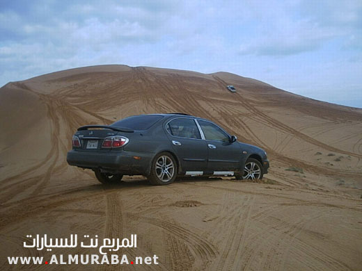 d99c0ba26dbec8fa5eacb143b703663b.jpg